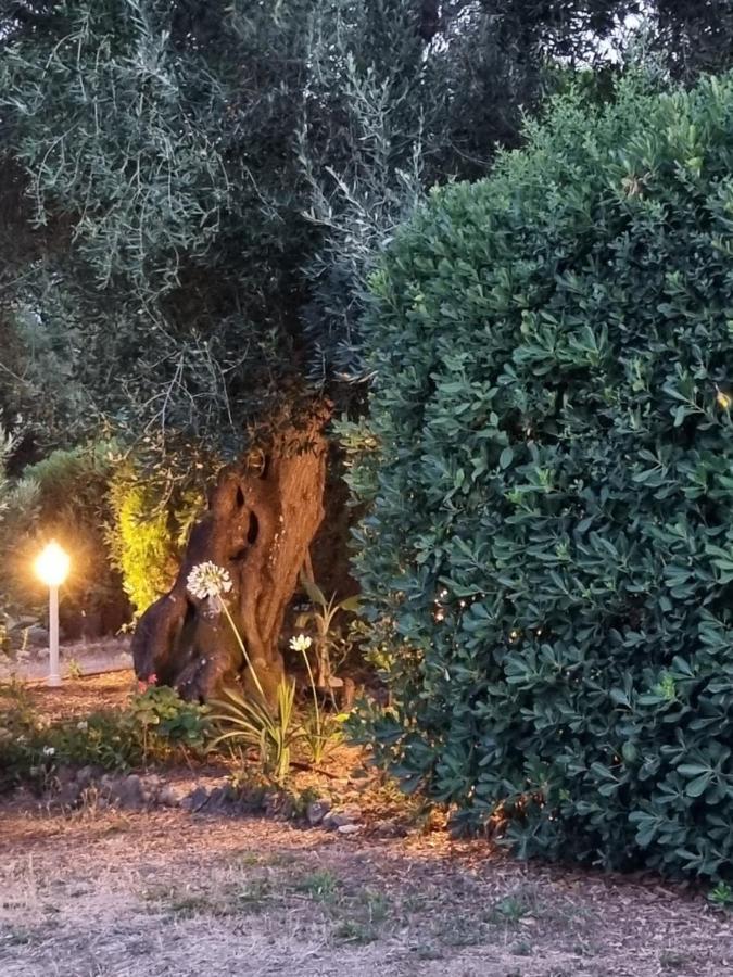 Cozy Corfu Bungalow 5 Minutes To Aqualand Ágios Ioánnis 外观 照片
